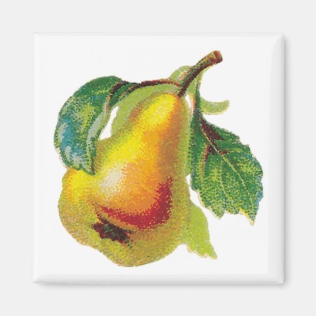 One Pear Magnet (Front)