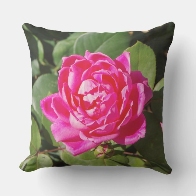 One Pink Rose Pillow (Front)