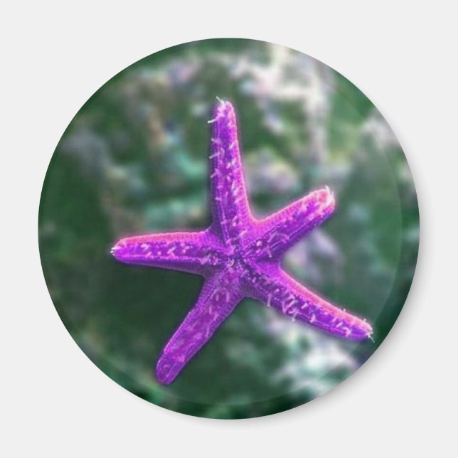 One Purple Starfish Rocky Beach Magnet (Front)