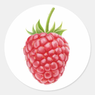 One raspberry classic round sticker