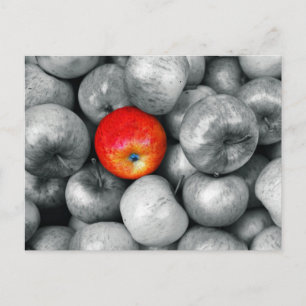 One Red Apple Postcard