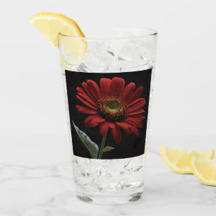 One Red Daisy On Black Left Side, Glass