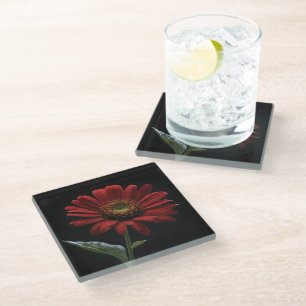 One Red Daisy On Black Left Side, Glass Coaster