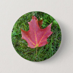 One Red Maple Leaf on grass 6 Cm Round Badge