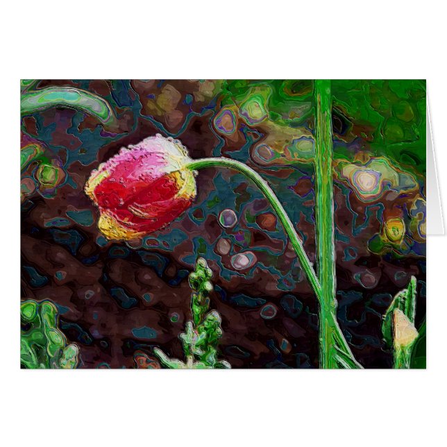 One Red Parrot (Front Horizontal)