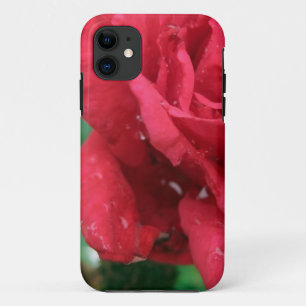 One Red Rose iPhone 11 Case