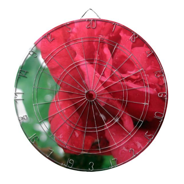 One Red Rose Dartboard (Front)