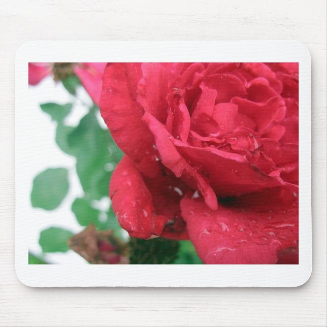 One Red Rose Mouse Pad (Front)