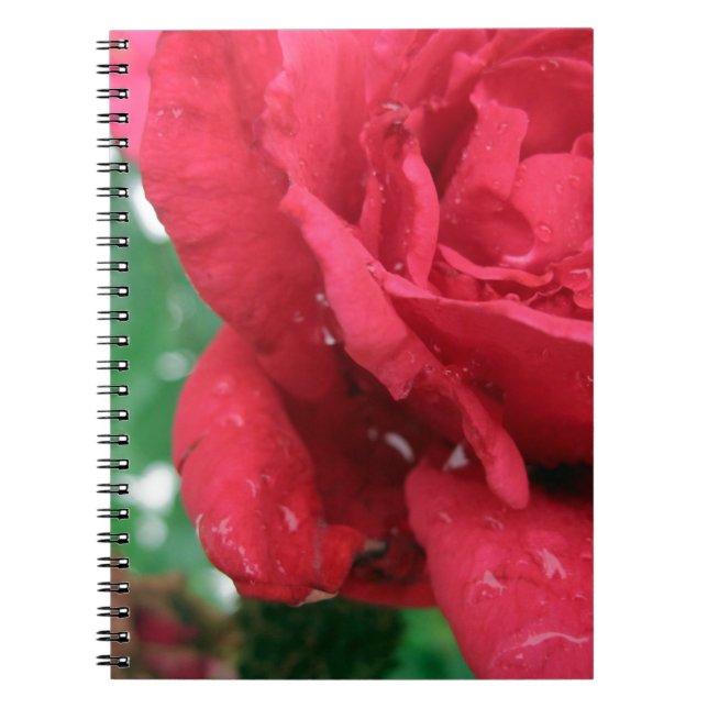 One Red Rose Notebook (Front)