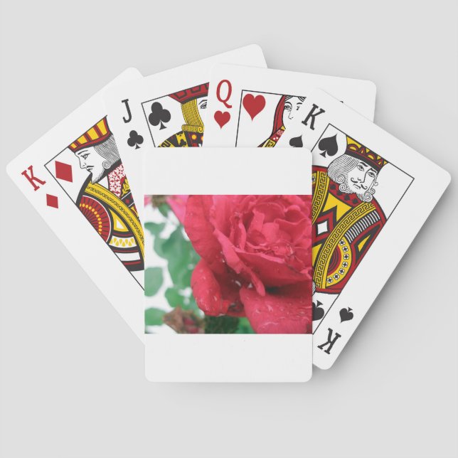 One Red Rose Playing Cards (Back)
