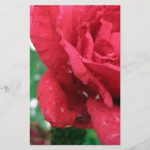 One Red Rose Stationery