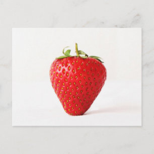 One Red Strawberry pccna Postcard