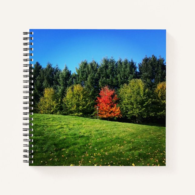 One Red Tree Notebook (Front)