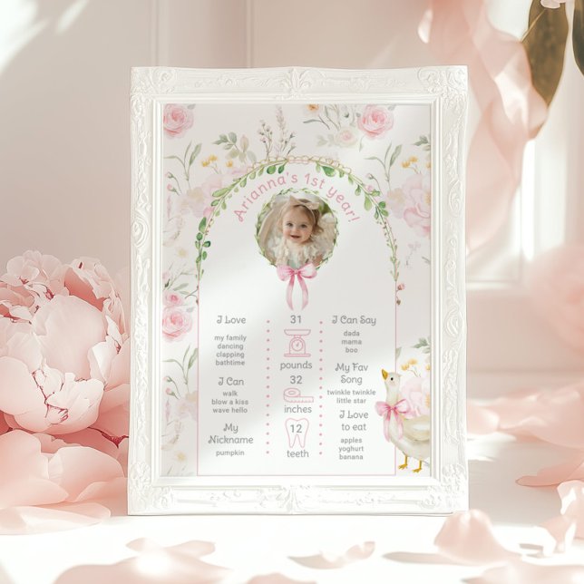 One Silly Goose 1st Birthday party photo Milestone Poster (Creator Uploaded)