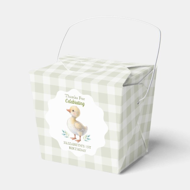 One Silly Goose Green Gingham Baby First Birthday Favour Box (Front Side)