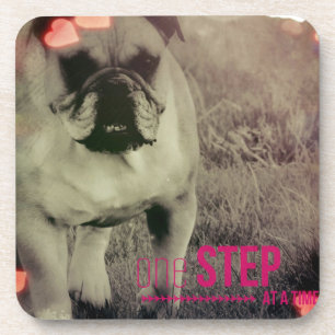 One Step at a time, Bulldog Coaster