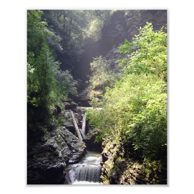 ONE SUMMER'S DAY IN THE GLEN. NO.2  PHOTO 2011 (Front)