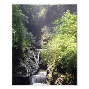 ONE SUMMER'S DAY IN THE GLEN. NO.2  PHOTO 2011 PRINT