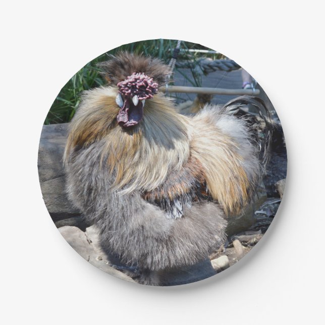 One Ugly Fluffy Chicken,  Paper Plate (Front)