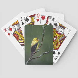 One Unhappy Goldfinch Playing Cards