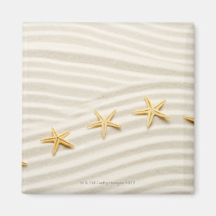 One unstraight row of starfishes magnet