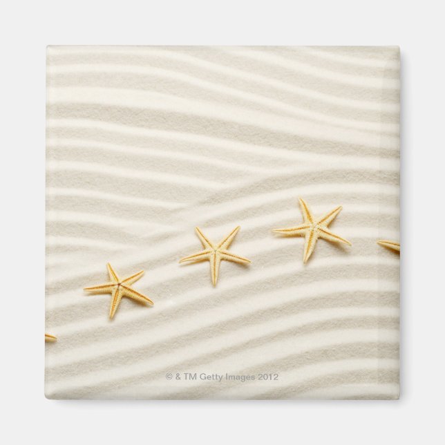 One unstraight row of starfishes magnet (Front)