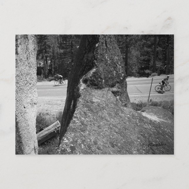 One Up One Down Postcard (Front)