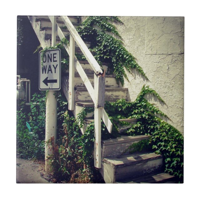 One way ivy ceramic tile (Front)