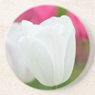 One White Tulip Coaster