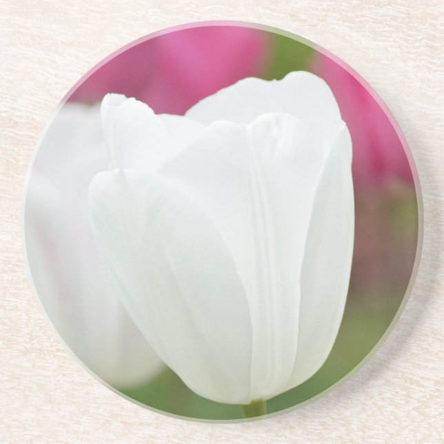One White Tulip Coaster (Front)