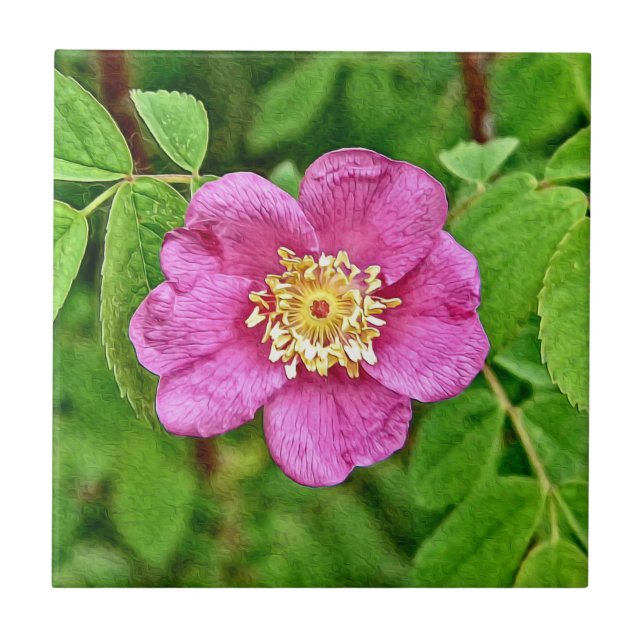 One Wild Rose Ceramic Tile (Front)