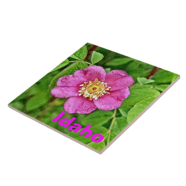 One Wild Rose - Idaho Ceramic Tile (Side)