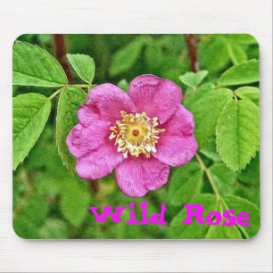 One Wild Rose Mouse Pad