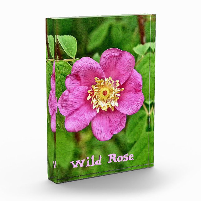One Wild Rose Photo Block (Left)