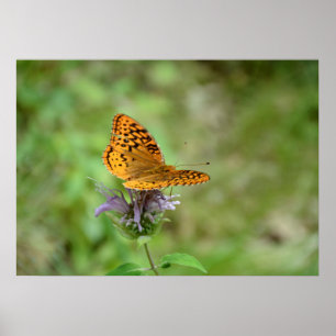 ONE WITH NATURE POSTER