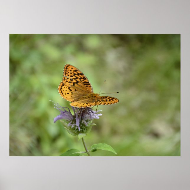 ONE WITH NATURE POSTER (Front)