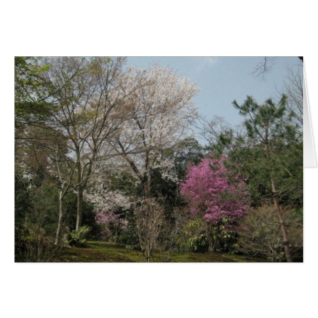 One Word that Brings Peace (Front Horizontal)
