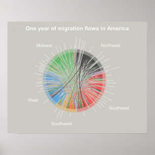 One year of migration flows in America Poster