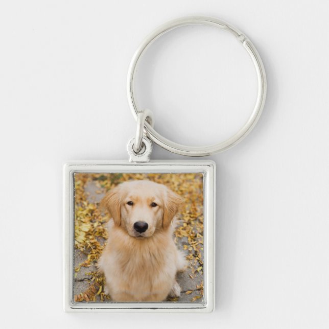 One year old Golden Retriever, portrait Key Ring (Front)