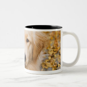 One year old Golden Retriever, portrait Two-Tone Coffee Mug