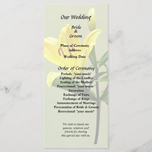 One Yellow Lily Program