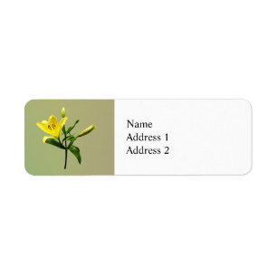 One Yellow Lily Return Address Label