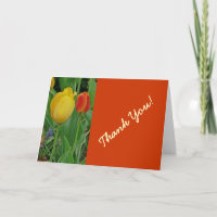 "One Yellow, One Red Tulip" Thank You Card