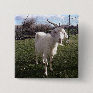 One Young Goat 15 Cm Square Badge