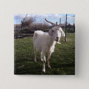 One Young Goat 15 Cm Square Badge