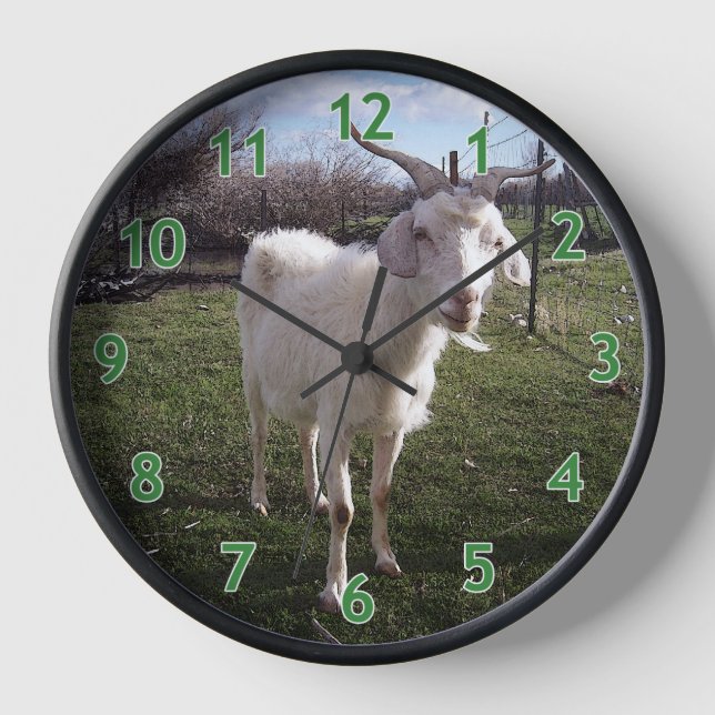One Young Goat Clock (Front)