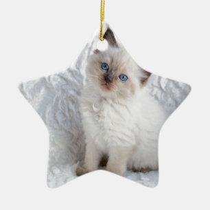One young ragdoll cat sitting on fur in chair ceramic ornament