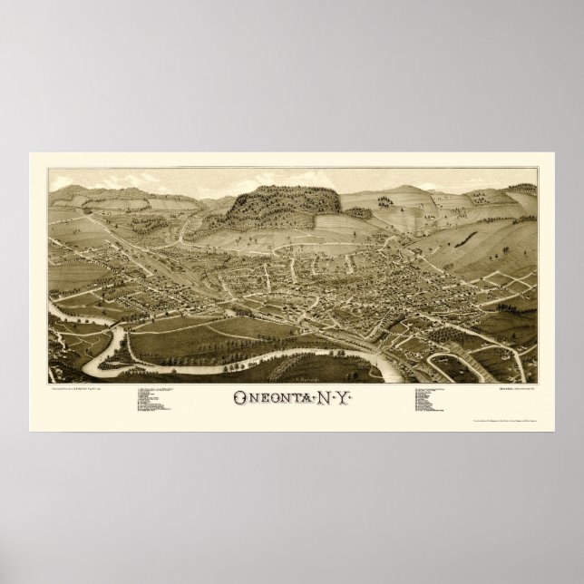 Oneonta, NY Panoramic Map - 1884 Poster (Front)