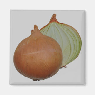 Onion magnet