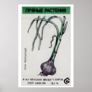Onion Plant - Matchbox Print - Aesthetic Wall Art